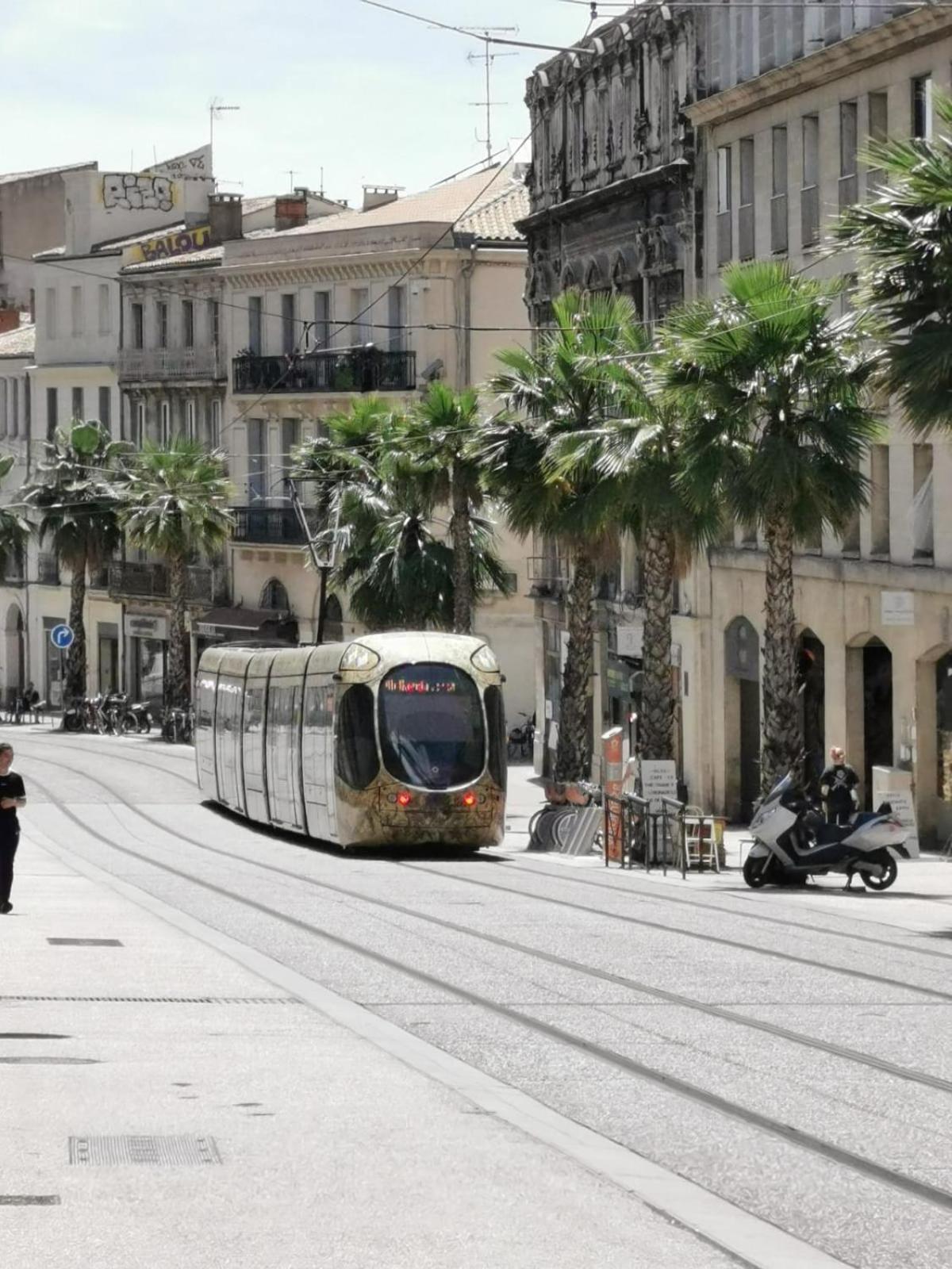 Bel Appartement Dans Le Centre Historique De Montpellier Extérieur photo